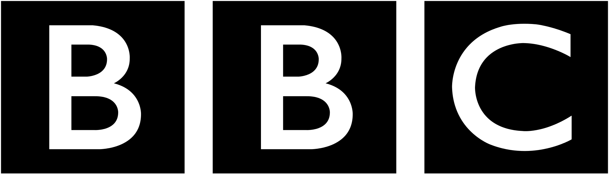 Media Partner